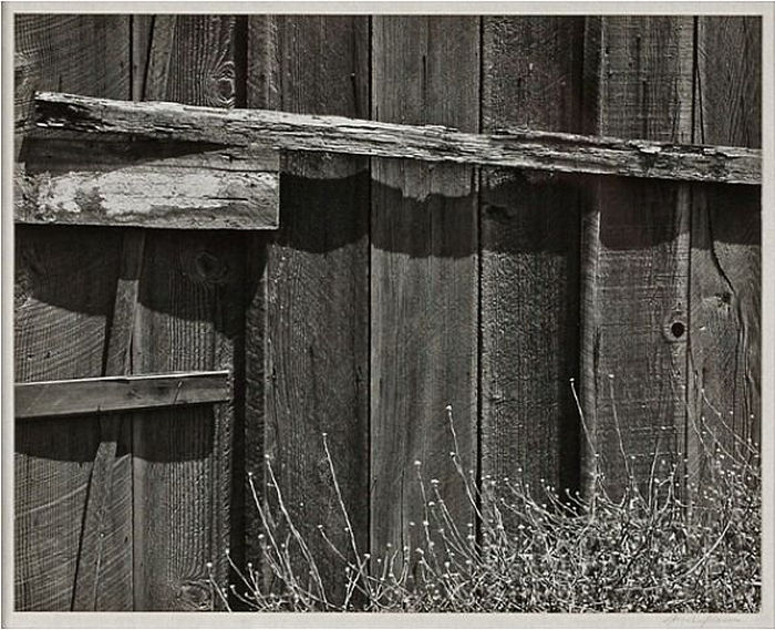 Tom McCardel - influences